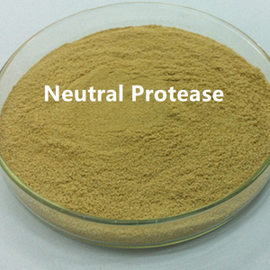 Neutral Protease