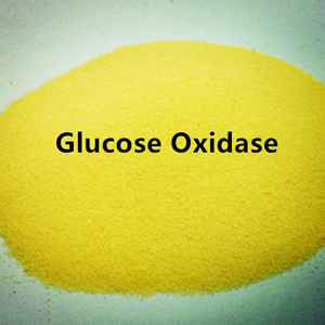Glucose Oxidase