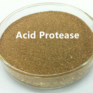 Acid Protease